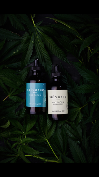 🌿✨ Discover the Wonders of Cinnamon Bark Oil!