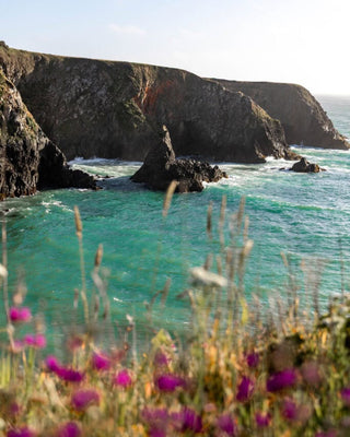 Coastal landscape with cliffs, ocean, and purple flowers in the foreground.