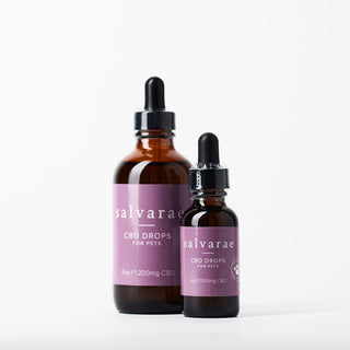 CBD Drops for Pets